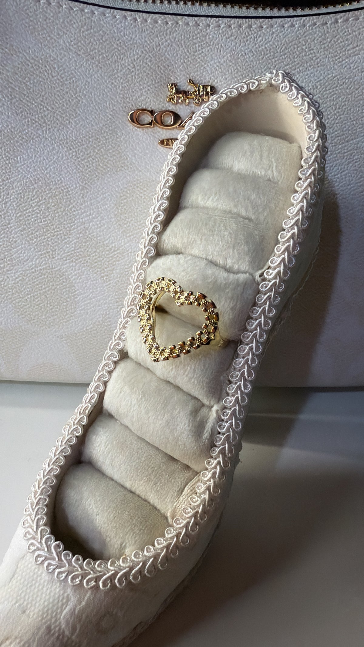 chain ring