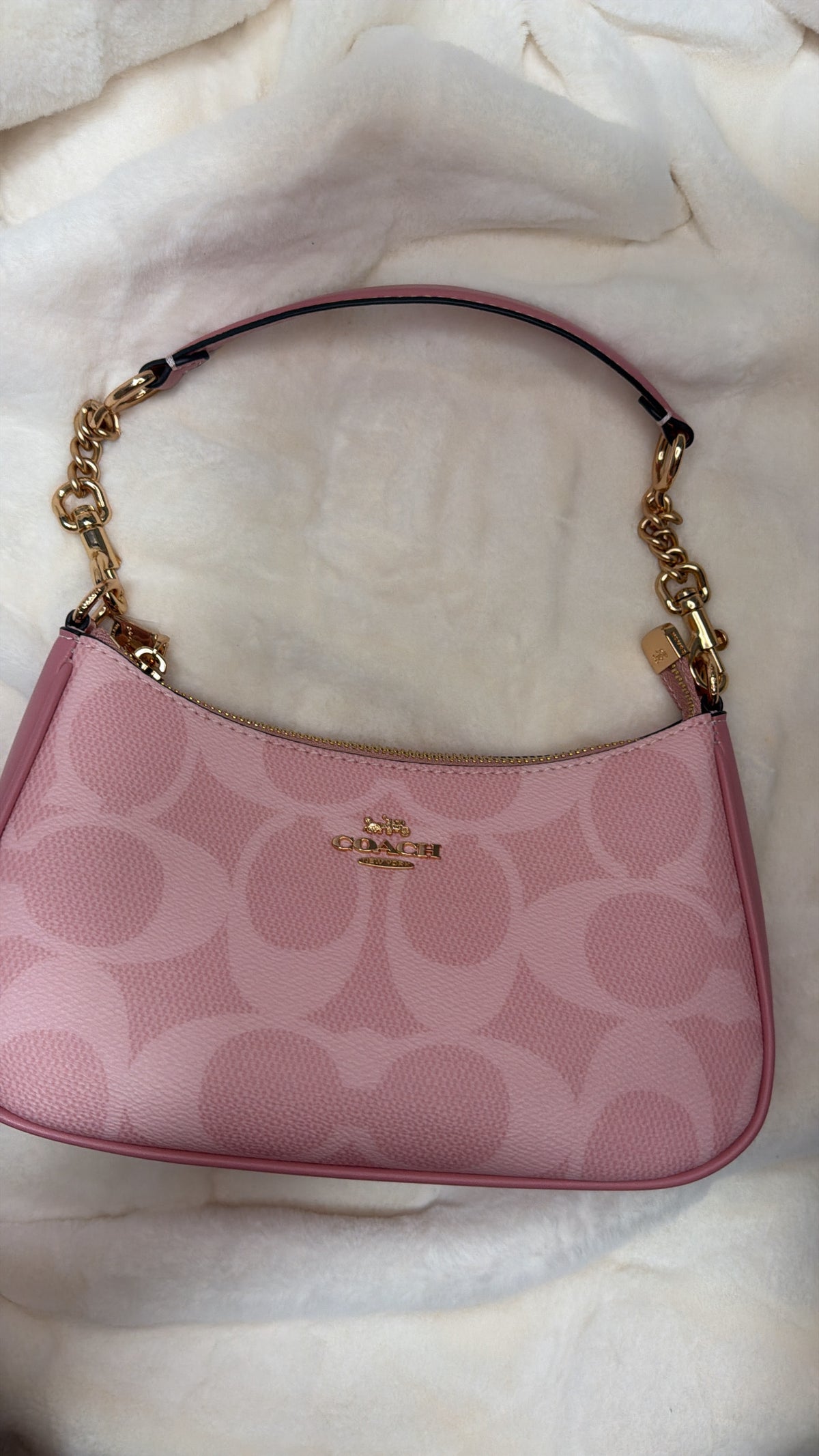 Pink Teri